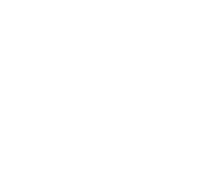 logo-test logo-test